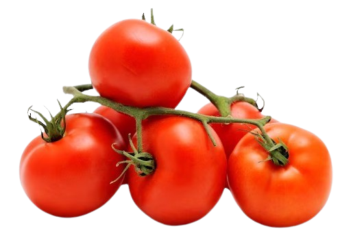 Tomatoes