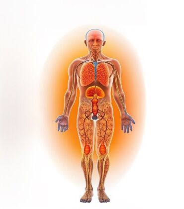 angiosarcoma-and-hemangiosarcoma